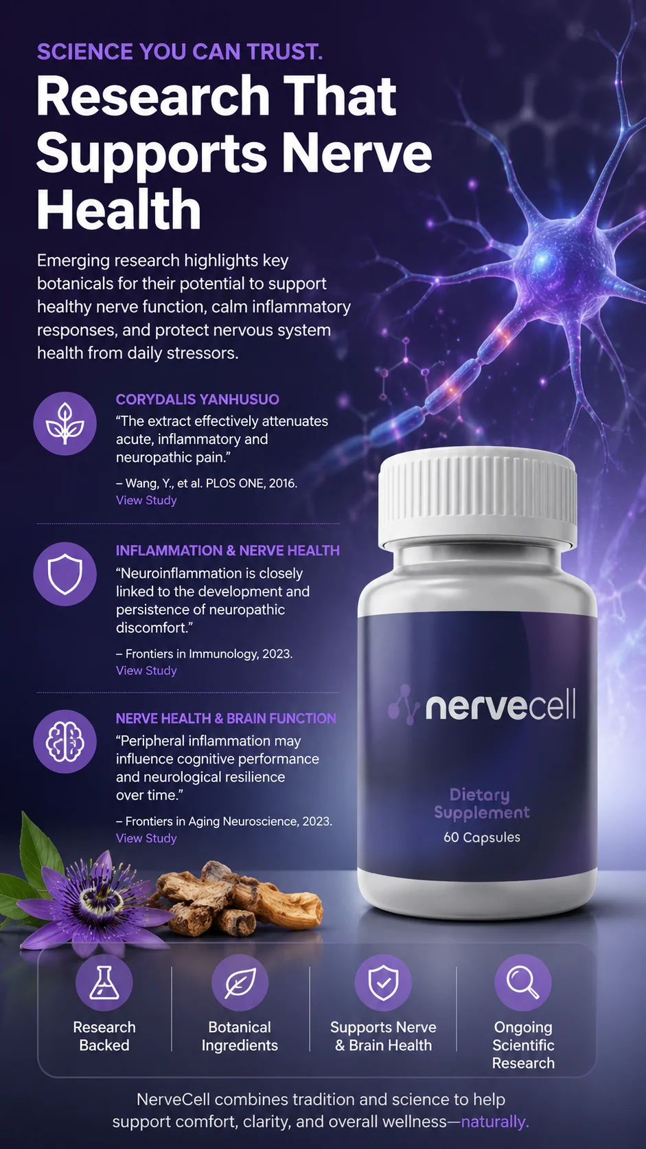 Science Behind Nervecell